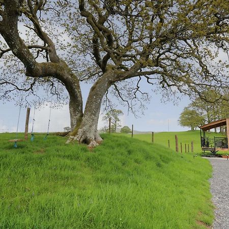 Wild Acre Villa Llangadog Luaran gambar